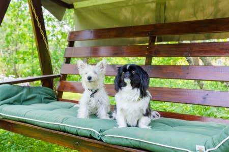 Poppelstrand Nuuksio, Pet Friendly Guest Apartment Екстер'єр фото